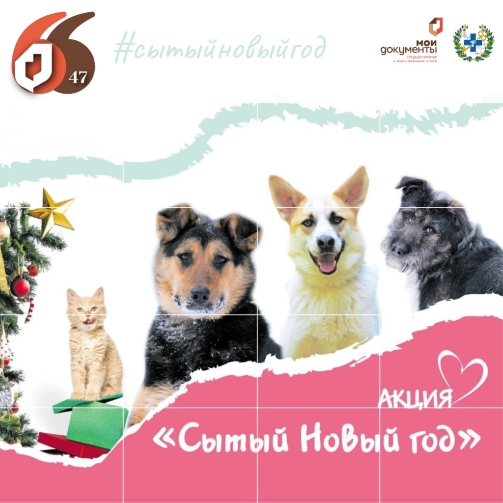 qlC6l8HxXBxb8Usx8Zxw_yhGaPSTUkEFSyex7xOdFVn0wVvofFCcfn1kta7zMWWWnUgiVRZ-3BSLyvAgcngo0kqh.jpg qlC6l8HxXBxb8Usx8Zxw_yhGaPSTUkEFSyex7xOdFVn0wVvofFCcfn1kta7zMWWWnUgiVRZ-3BSLyvAgcngo0kqh.jpg